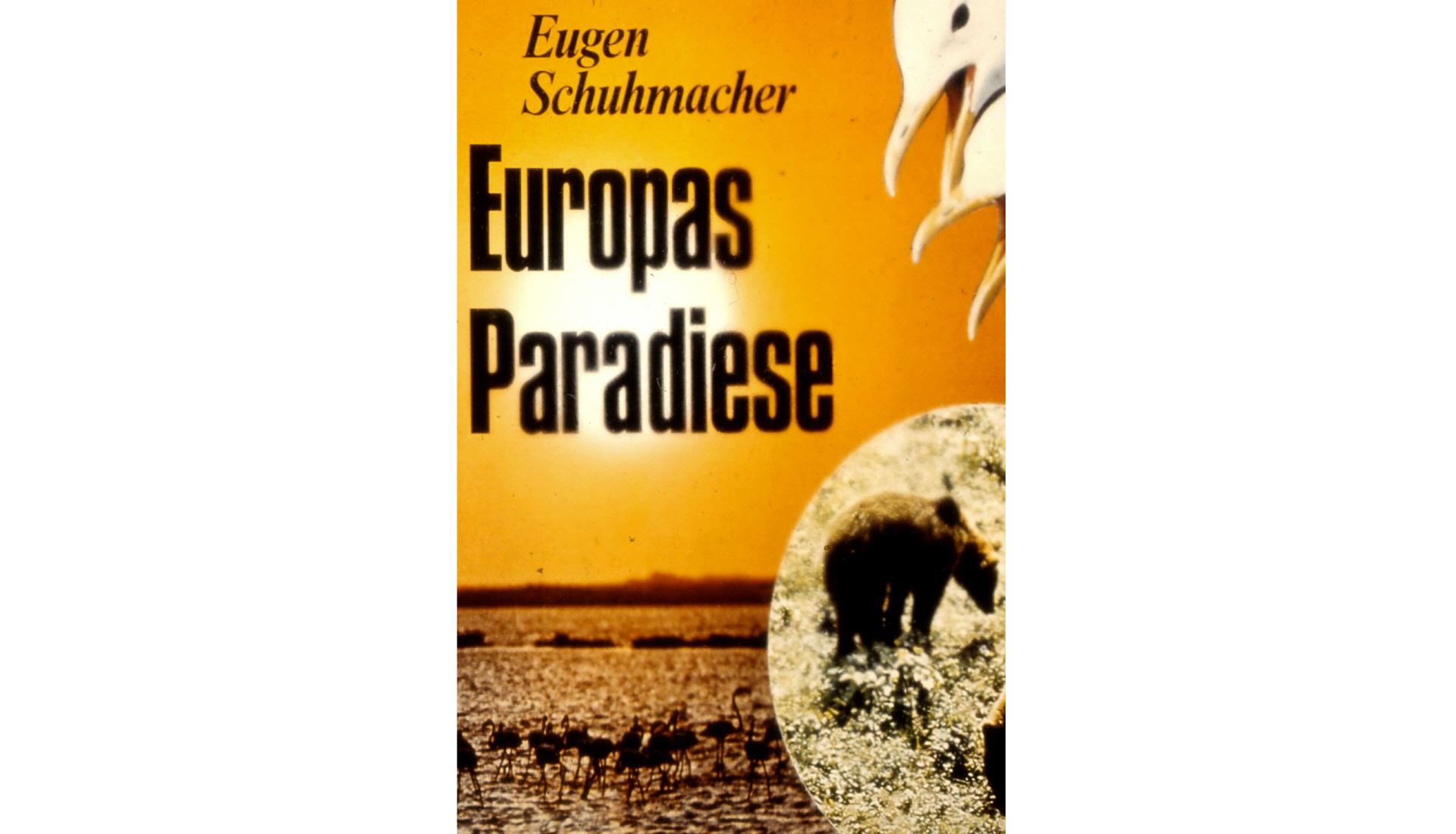 ABENDF&Uuml;LLENDER DOKUMENTARFILM VON 1973