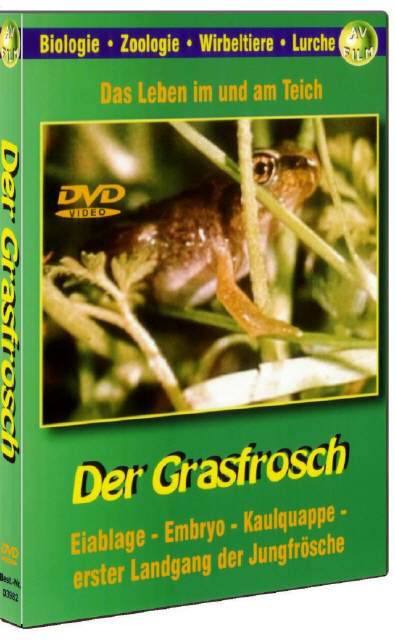 DVD Der Grasfrosch