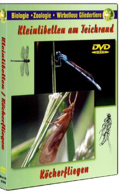 DVD Kleinlibellen / Köcherfliegen