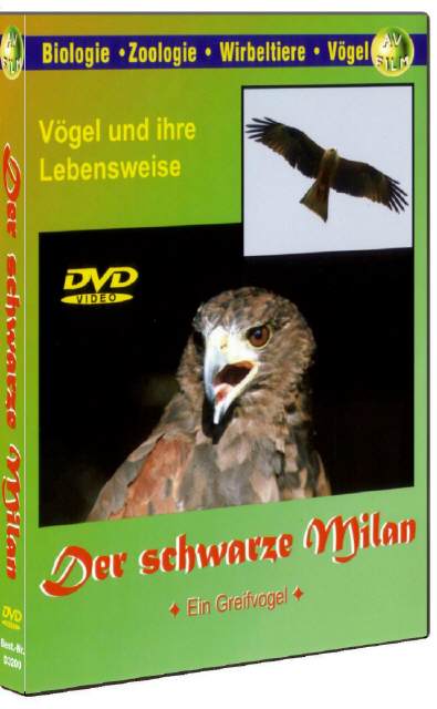 DVD Der Schwarze Milan