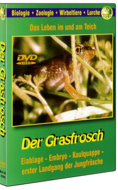 DVD Der Grasfrosch