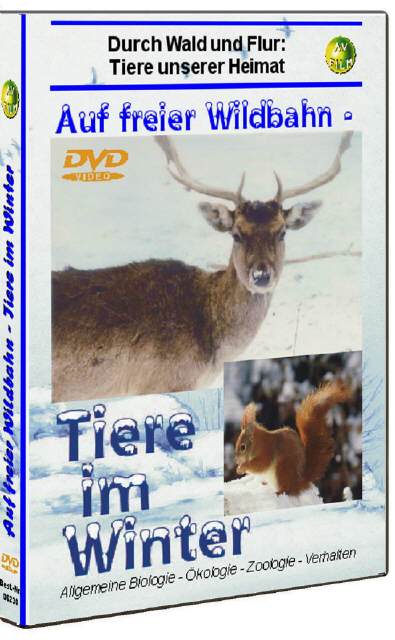 DVD Auf freier Wildbahn