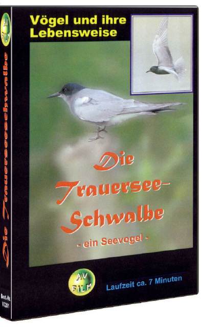 DVD Die Trauerseeschwalbe