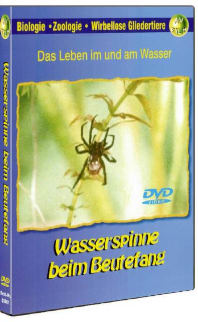 DVD Wasserspinne beim Beutefang