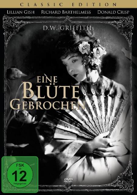 Eine Blüte gebrochen