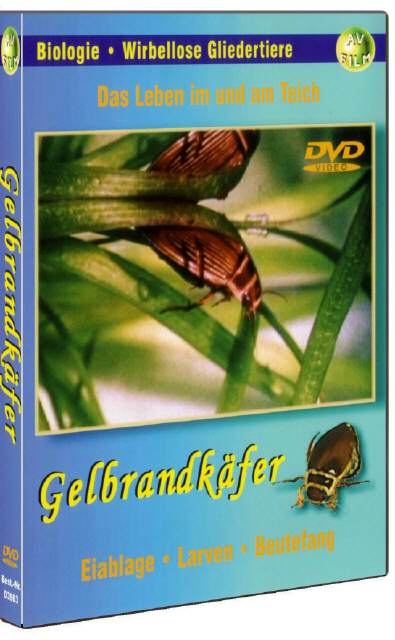 DVD Gelbrandkäfer