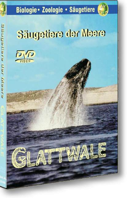 DVD Glattwale