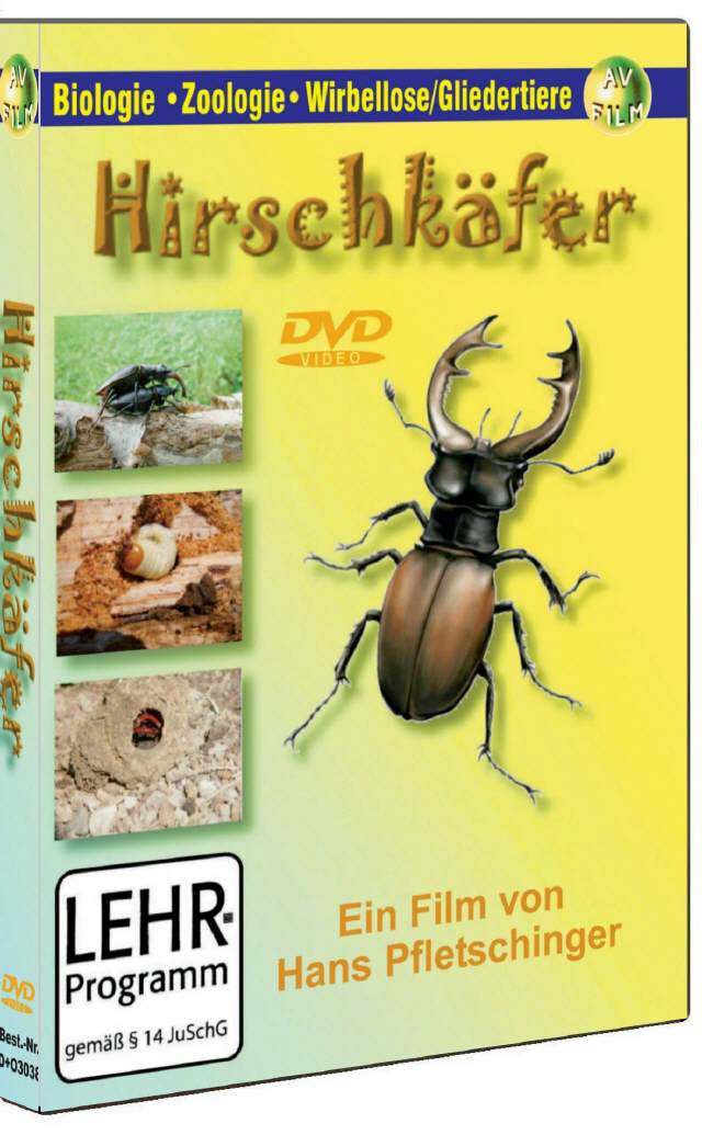 DVD Hirschkäfer