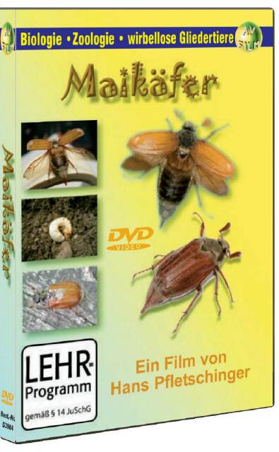 DVD Maikäfer