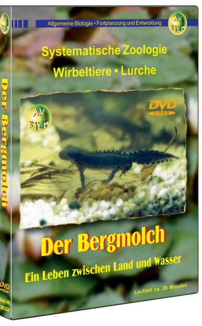 DVD Der Bergmolch