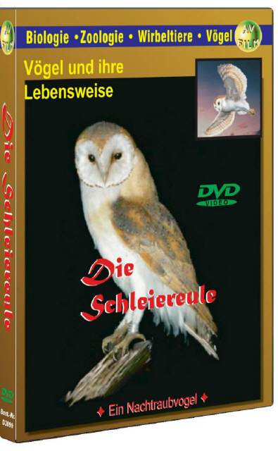 DVD Die Schleiereule