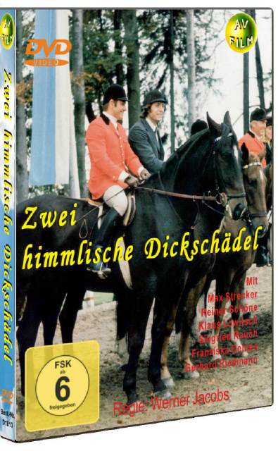 DVD Zwei himmlische Dickschädel